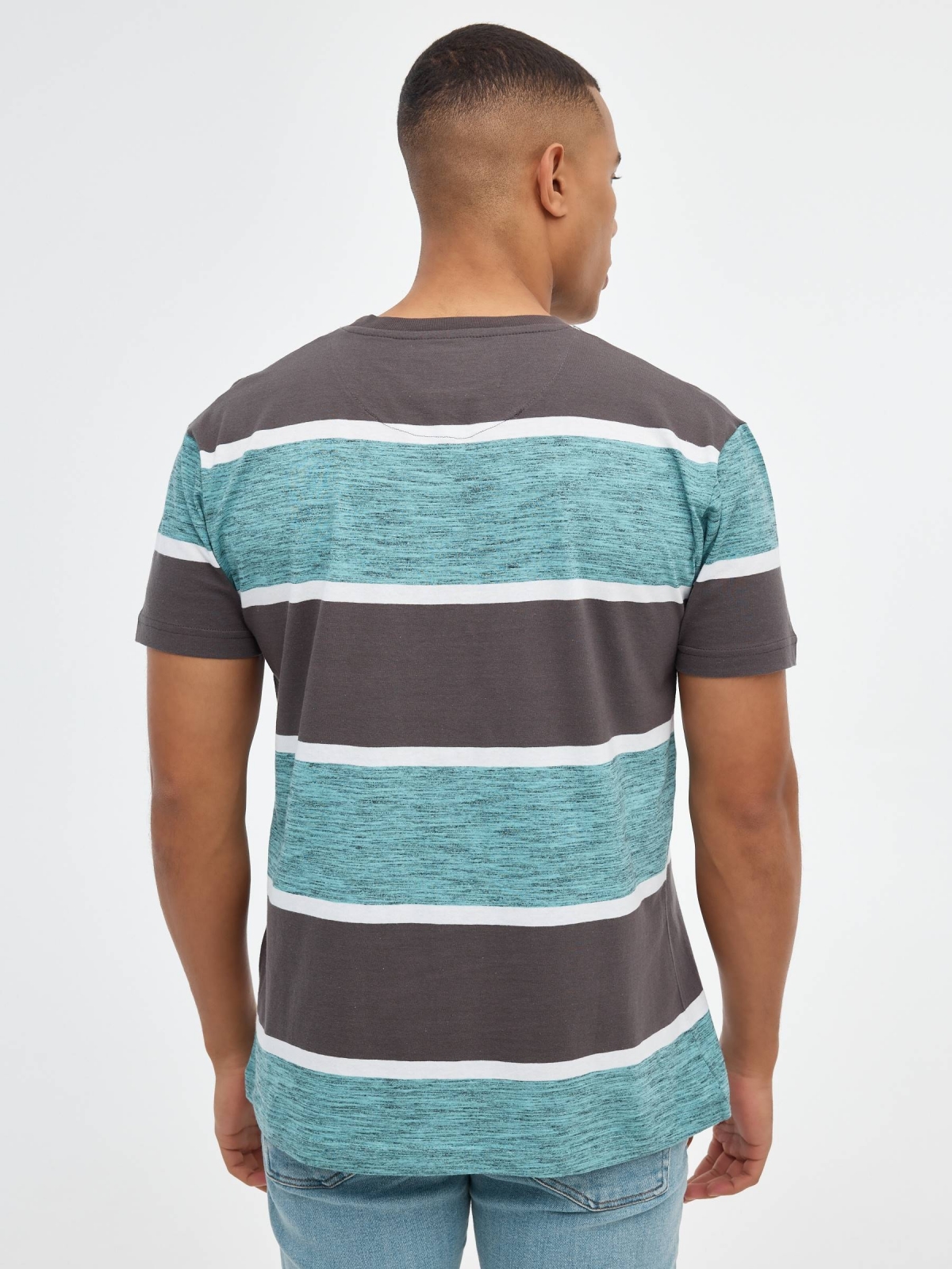 Bicolor striped T-shirt green middle back view