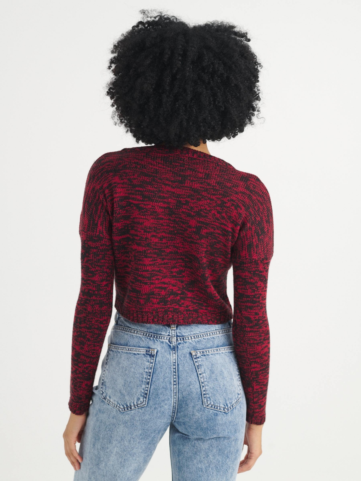 Heather cropped sweater red middle back view