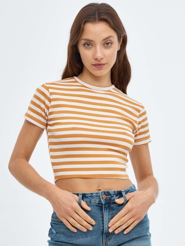 Striped crop top brown middle front view