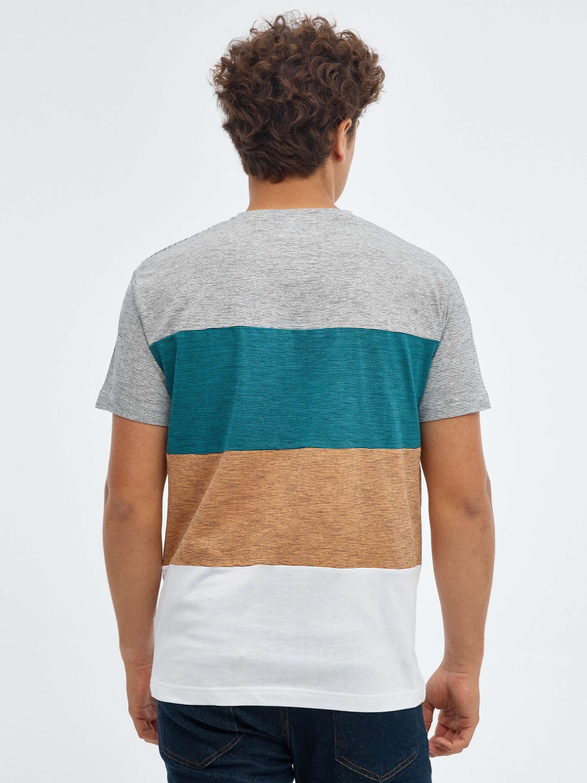 Block coloured striped T-shirt grey middle back view