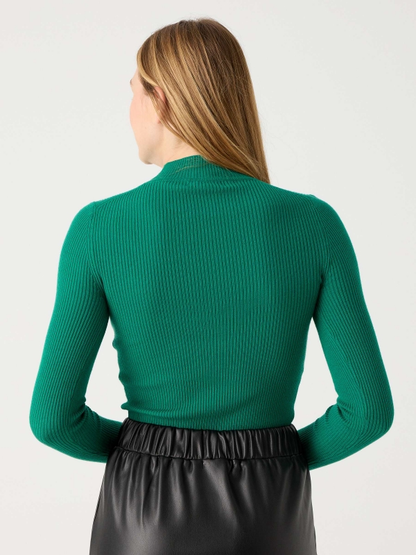 Black sweater with turtleneck green middle back view