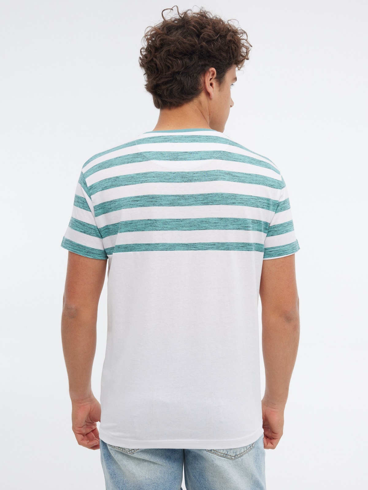 Striped T-shirt with pocket green middle back view