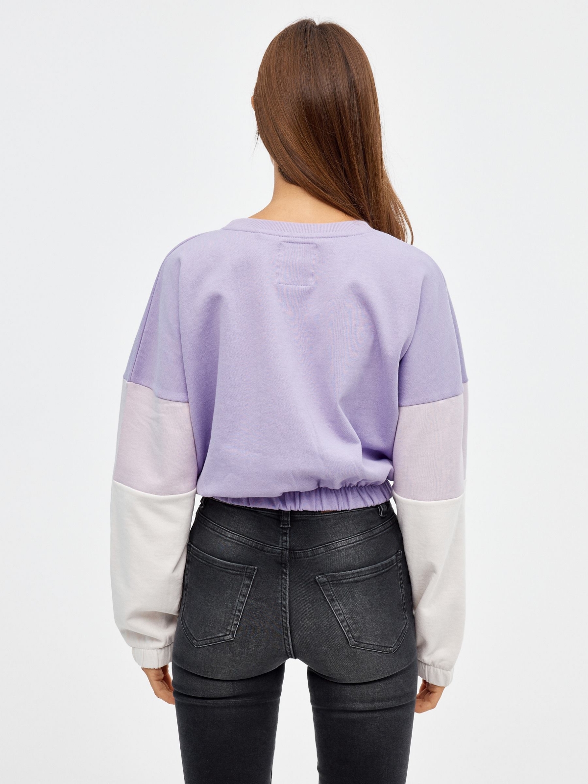 Crop sweatshirt with pockets mauve middle back view