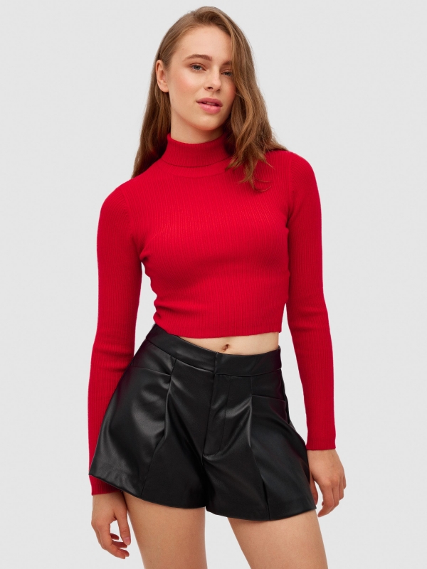 Basic pullover color turtleneck deep red middle front view