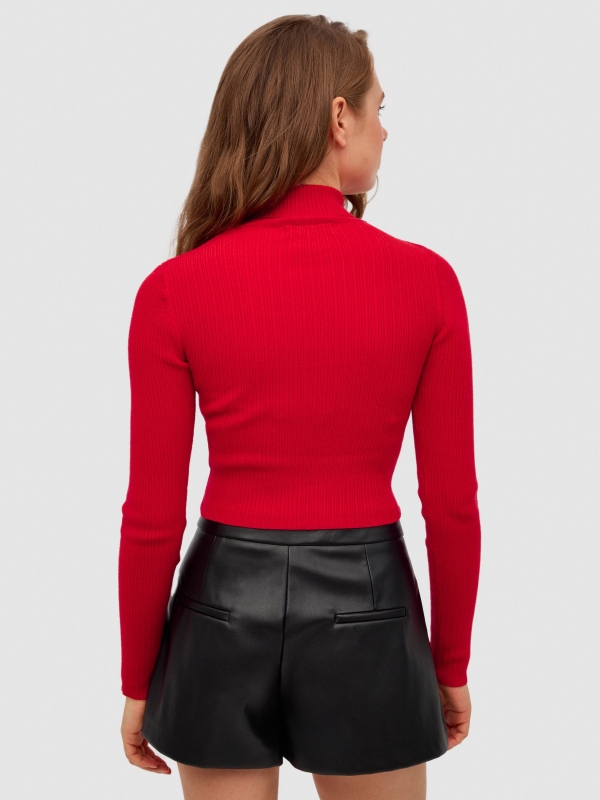 Basic pullover color turtleneck deep red middle back view