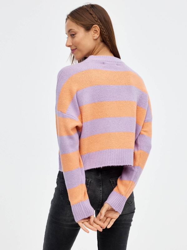 Oversized striped crop sweater lilac middle back view