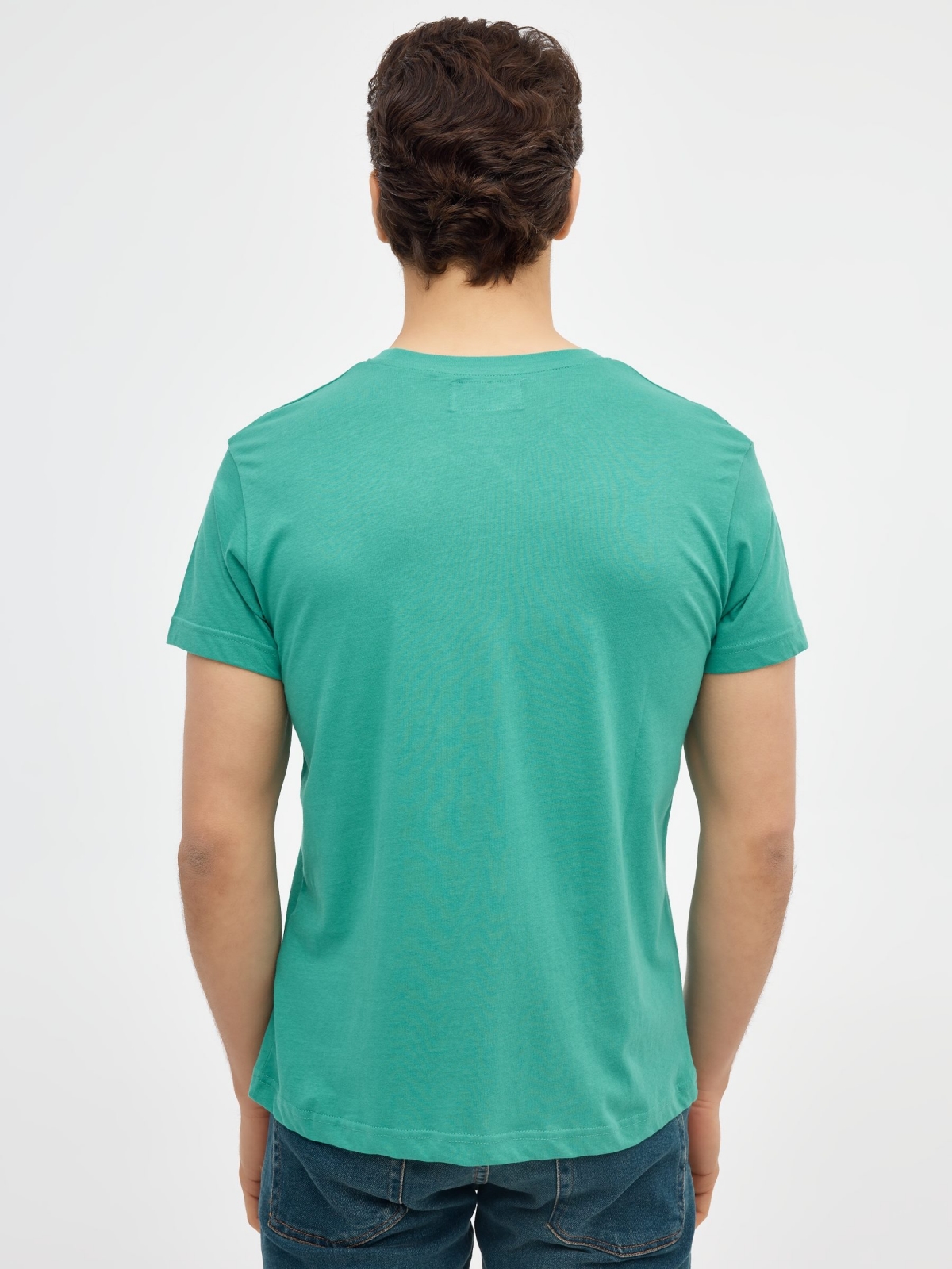 T-shirt básica manga curta verde água vista meia traseira
