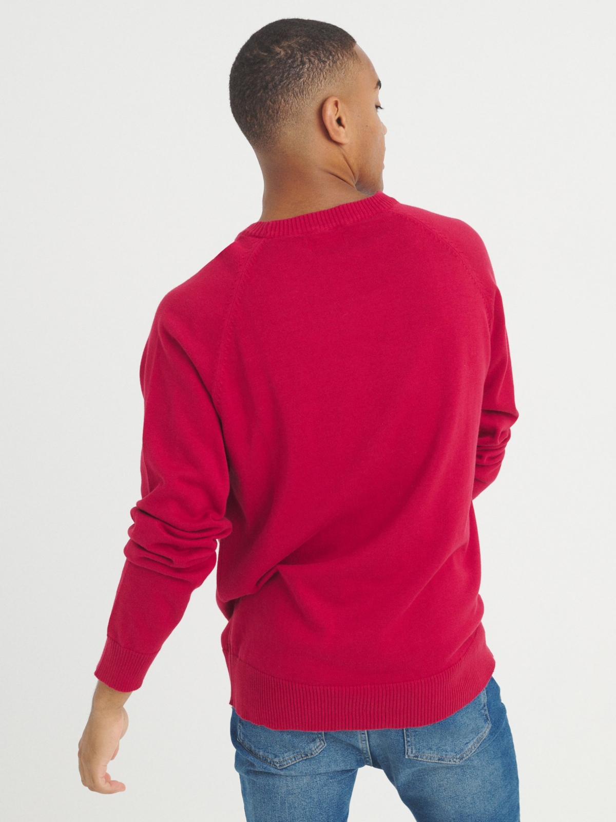 Plain sweater round neck red middle back view