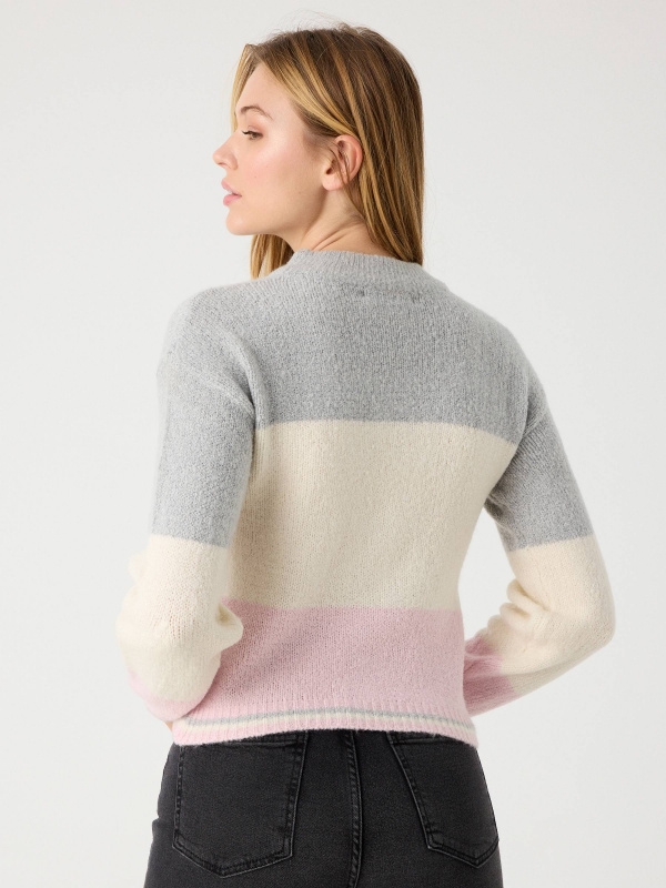Colorblock crew neck sweater grey middle back view