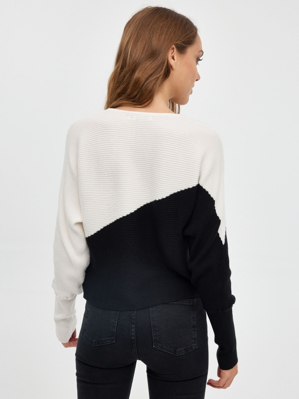 Balloon sleeve sweater black middle back view