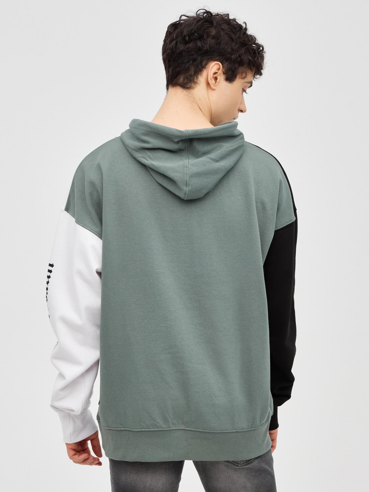 Tricolor sweatshirt with text greyish green middle back view