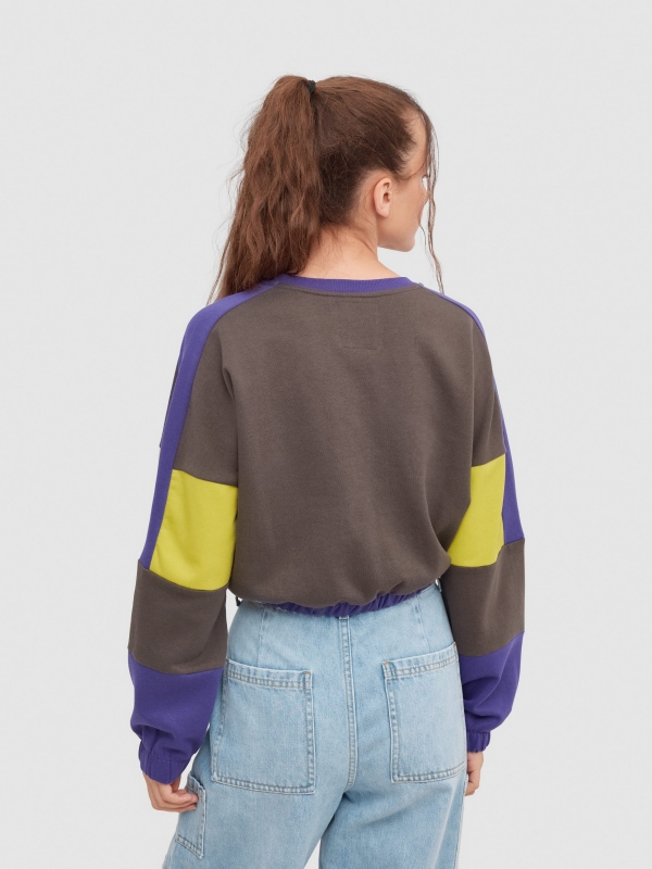 Crop sweatshirt with pockets dark grey middle back view