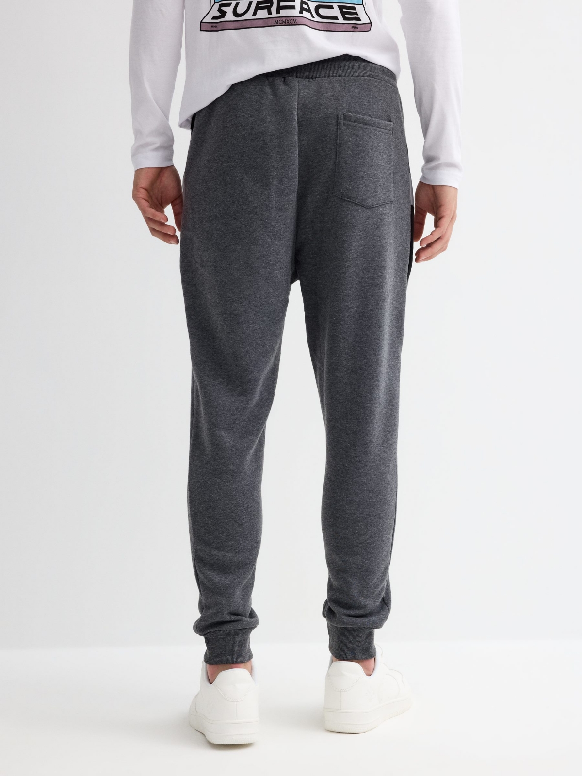 Jogger pants WRLDWD melange grey middle back view