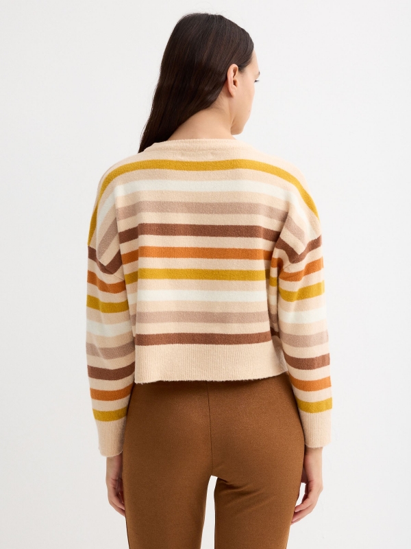 Knitted sweater perkins collar stripes multicolor middle back view