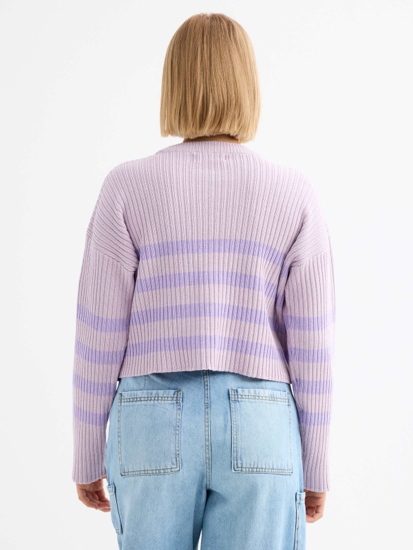 Oversized striped sweater mauve middle back view