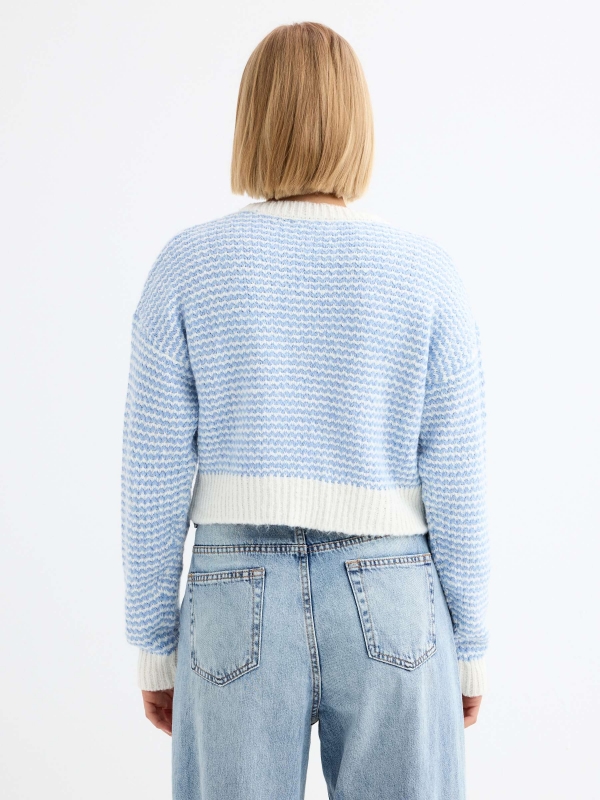 Jacquard knitted sweater blue middle back view