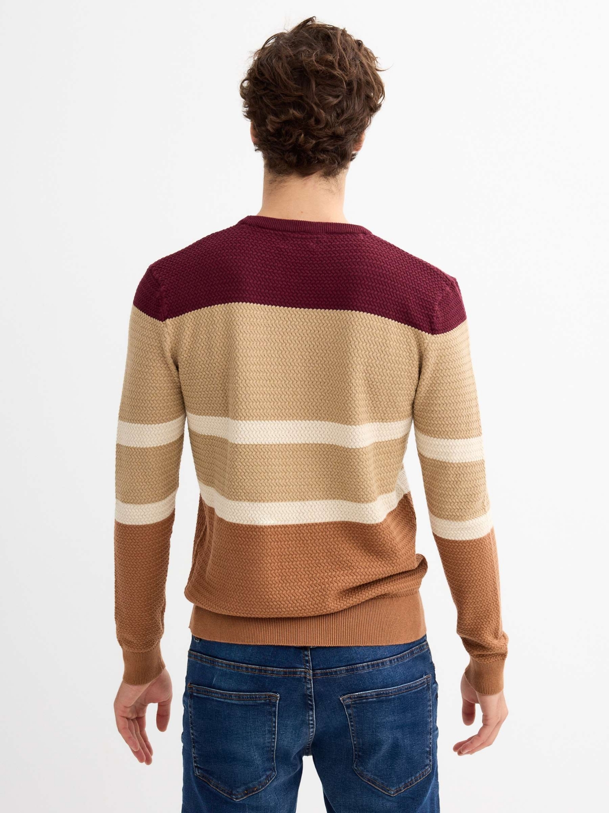 Regular sweater color block stripes burgundy middle back view