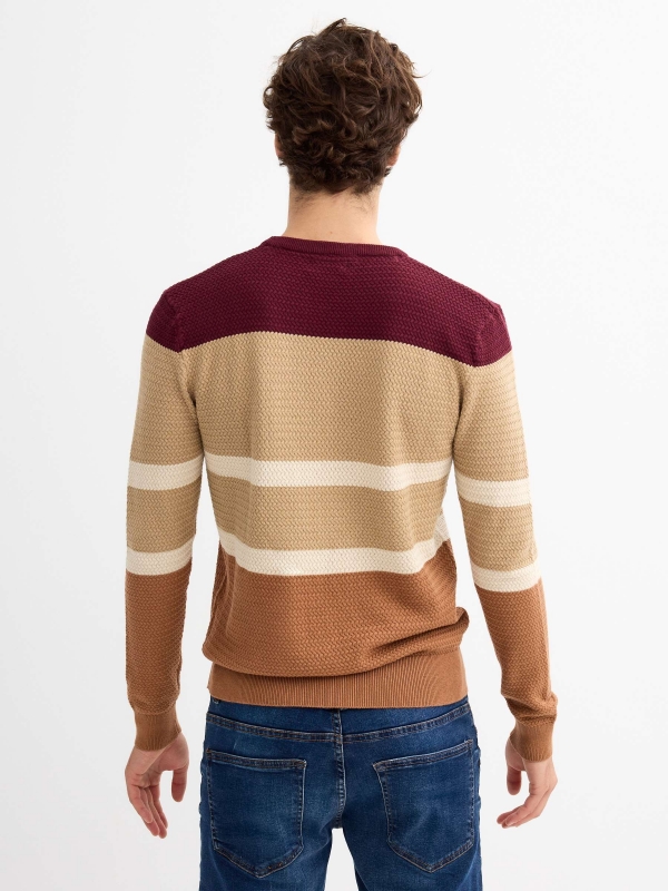 Regular sweater color block stripes burgundy middle back view