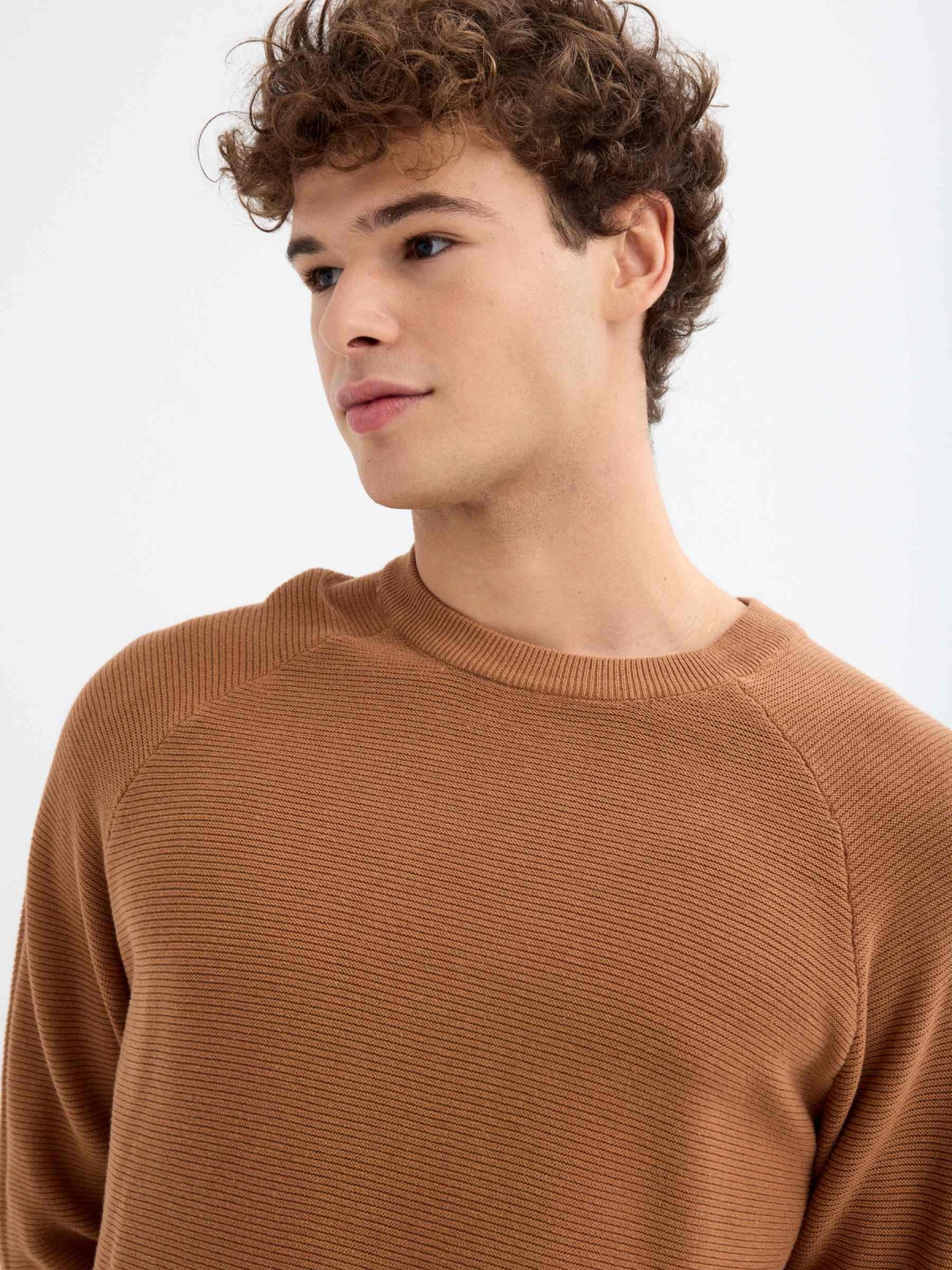 Basic ribbed sweater dark brown detail view