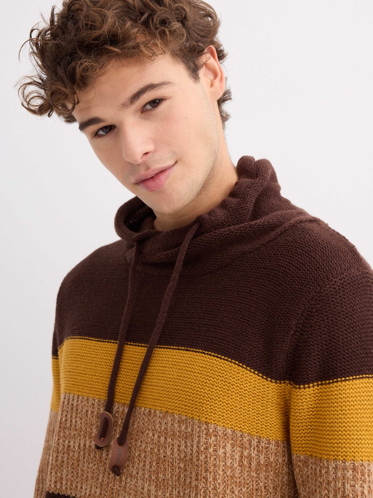 Striped sweater with collar chocolate detail view