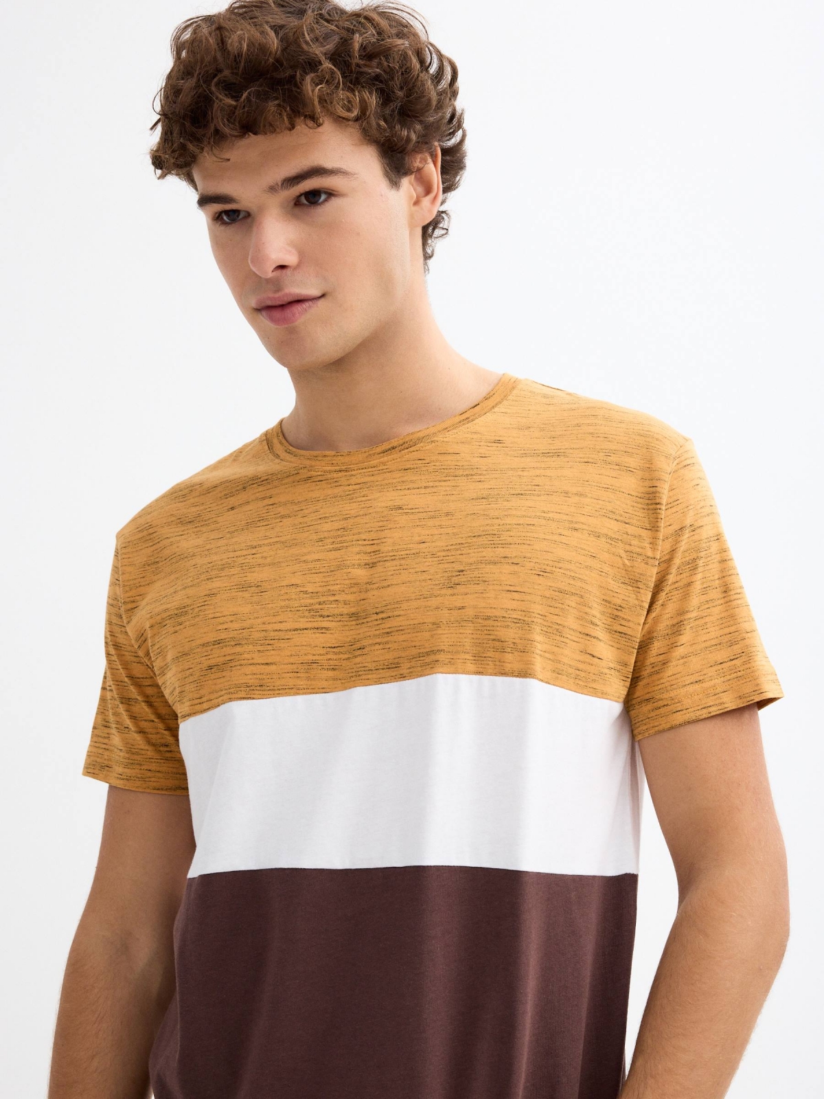 Camiseta regular color block chocolate vista detalle