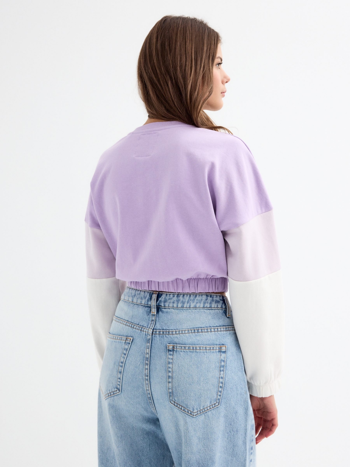 Crop sweatshirt with pockets mauve middle back view