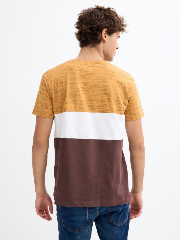 Camiseta regular color block chocolate vista media trasera