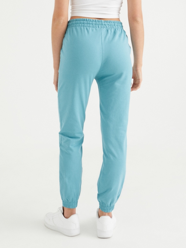 Basic joggers light green middle back view