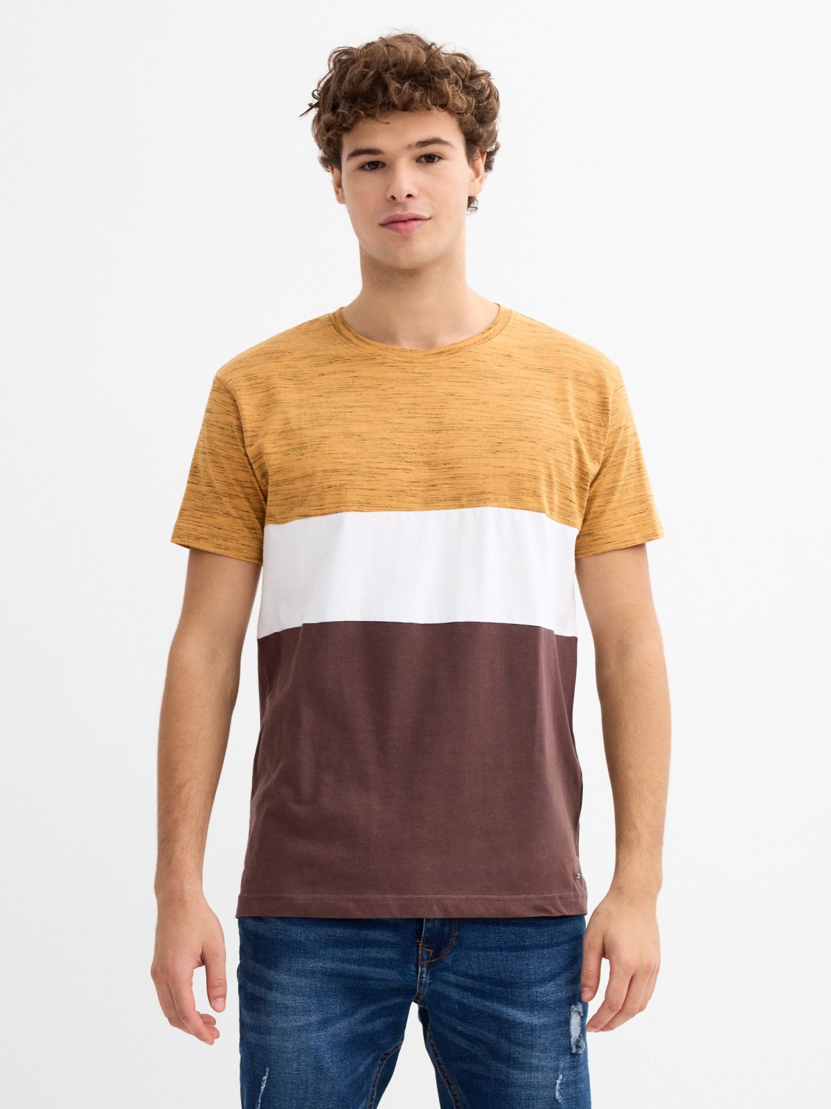 Regular color block t-shirt chocolate middle front view