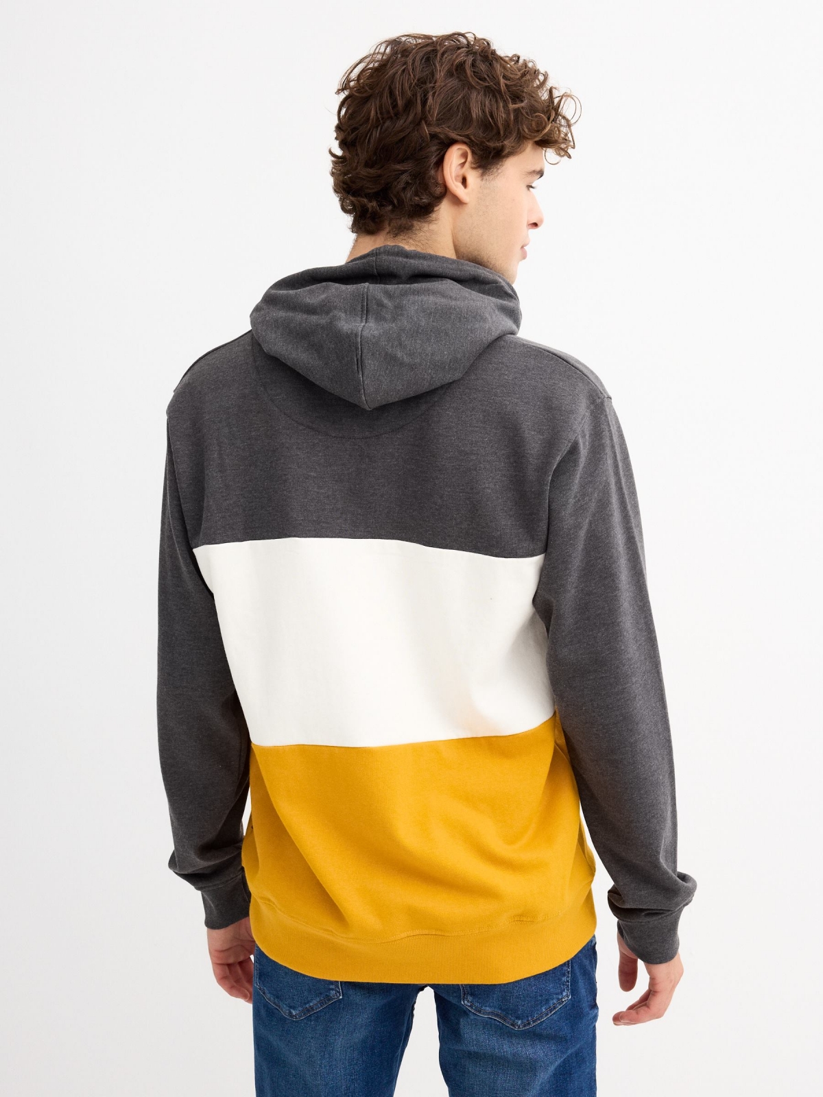 Sudadera capucha color block melange oscuro vista media trasera