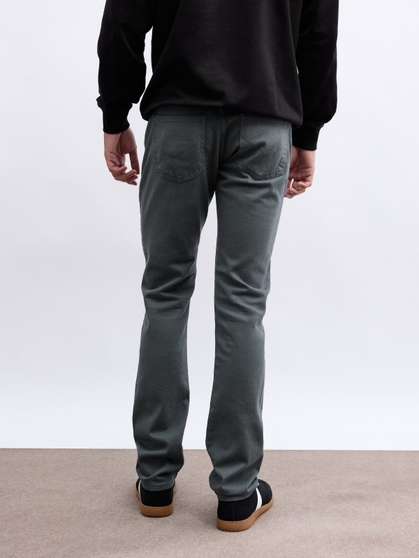 Regular five-pocket trousers grey middle back view