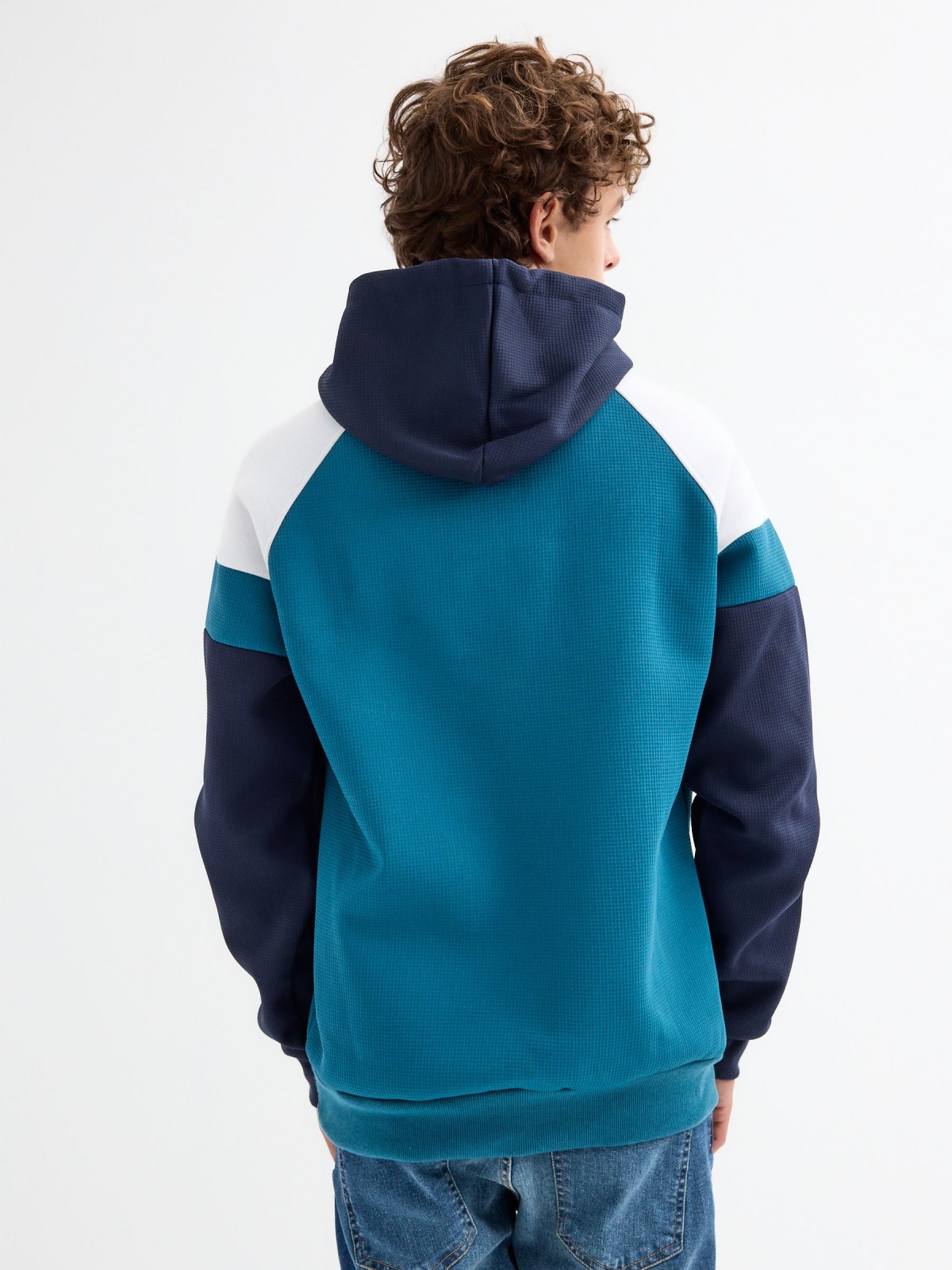 Color block text hoodie blue middle back view