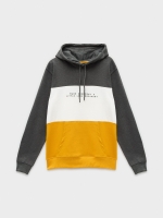 %Pto% Sudadera capucha color block melange oscuro vista frontal