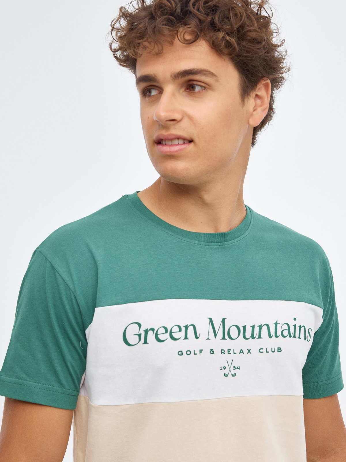 Green Mountains T-shirt sand detail view