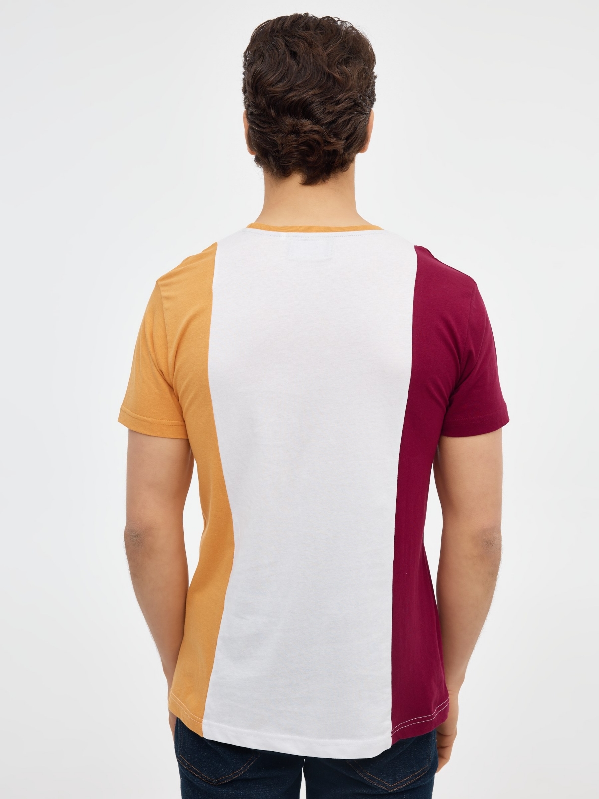 ALTRNTV T-shirt ochre middle back view