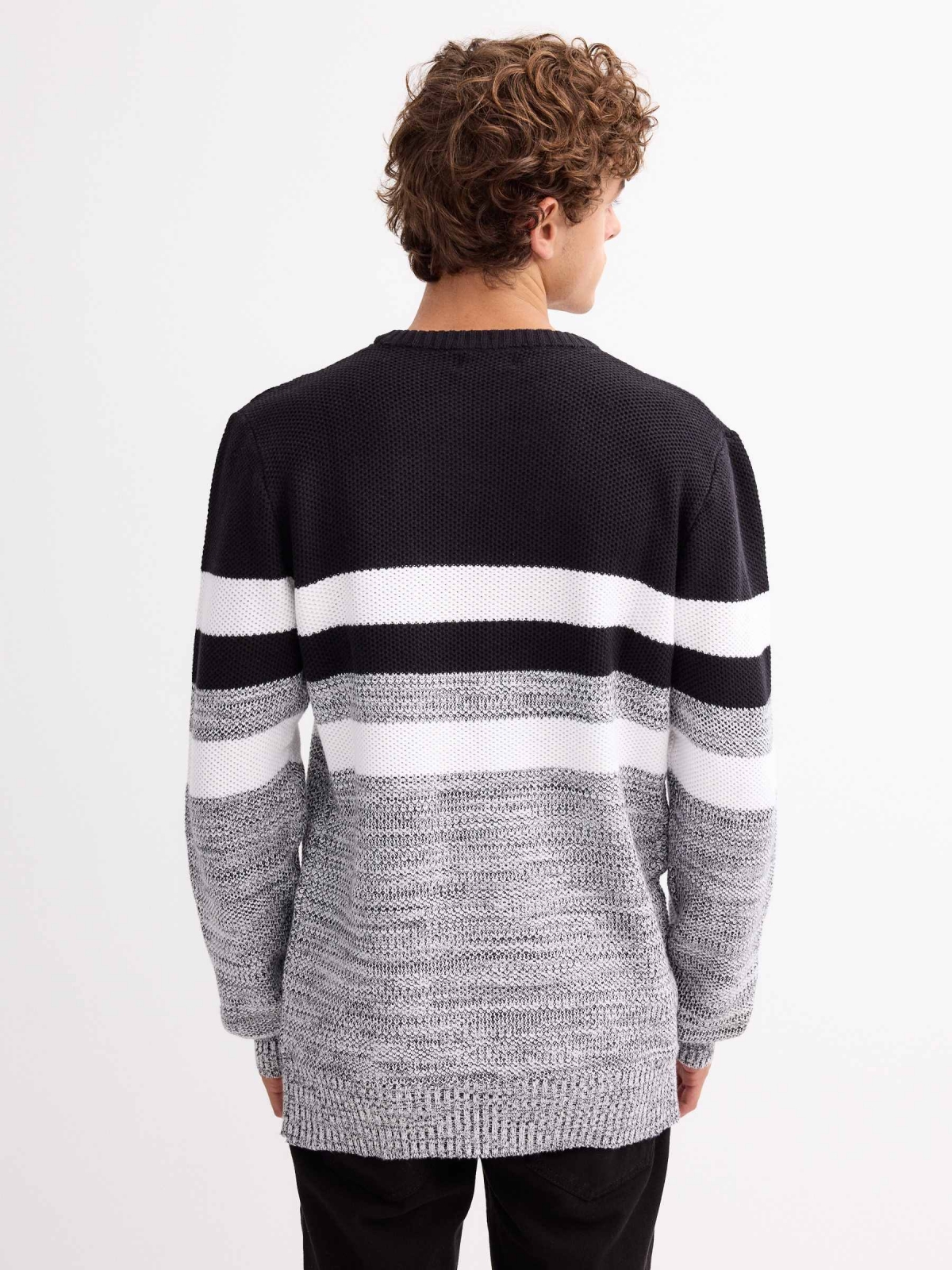 Torzal striped sweater black middle back view