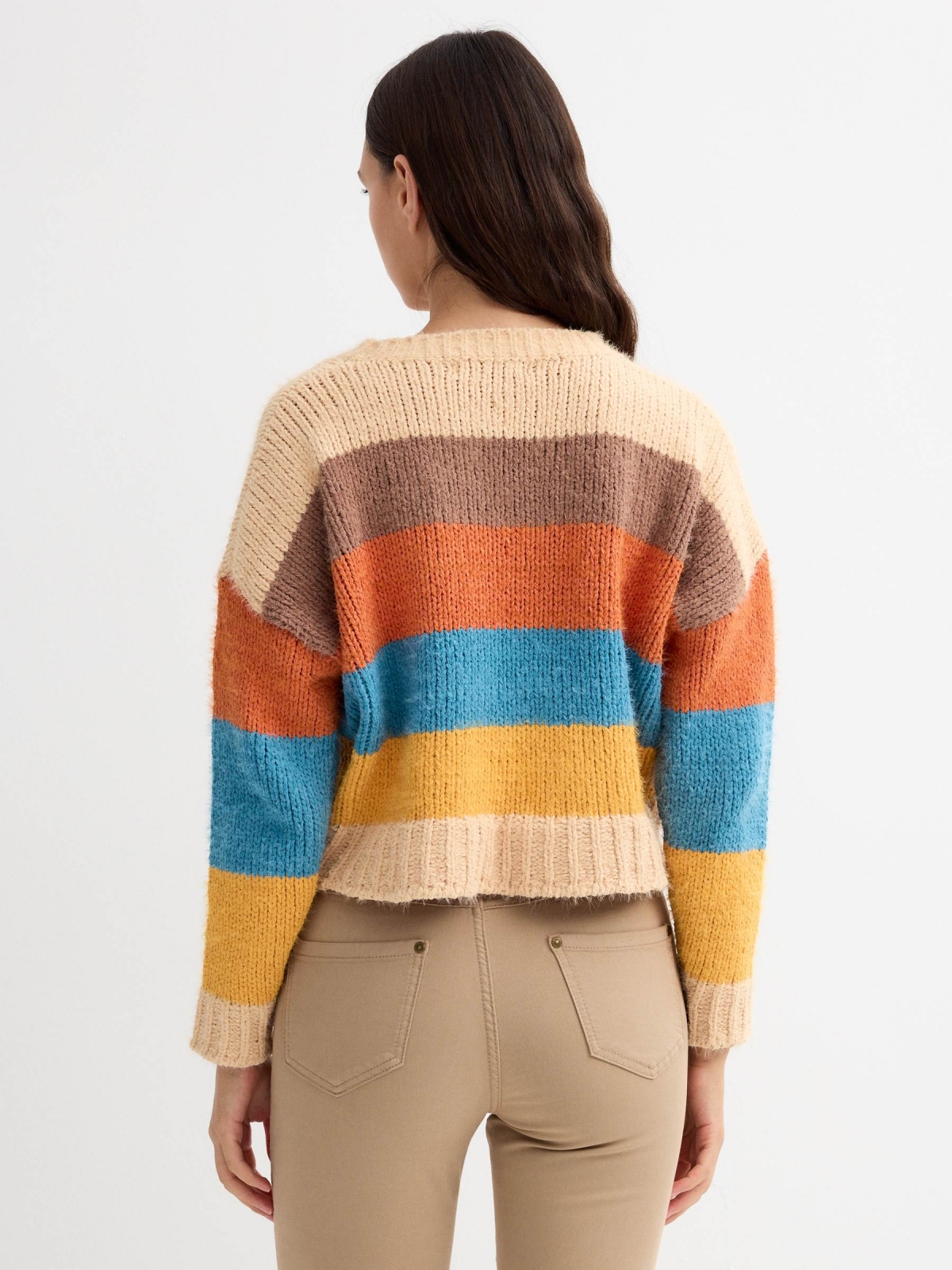 Striped chenille sweater multicolor middle back view