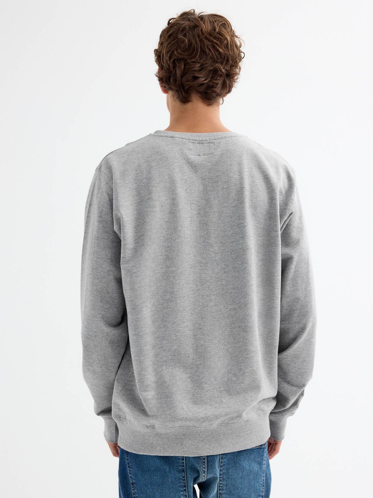 Hoodless sweatshirt with logo melange grey middle back view
