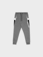 %Pto% Pantalón jogger WRLDWD gris melange vista frontal