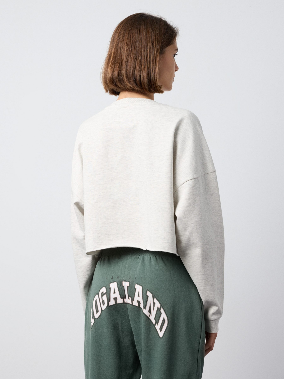 Atlanta crop sweatshirt light melange middle back view