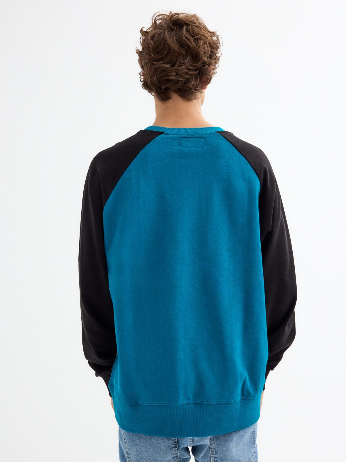 Color block sweatshirt with text black middle back view