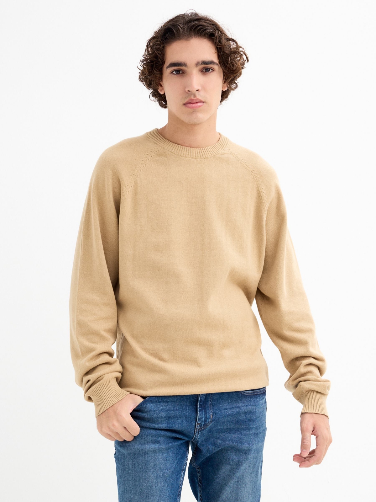 Plain sweater round neck sand middle front view