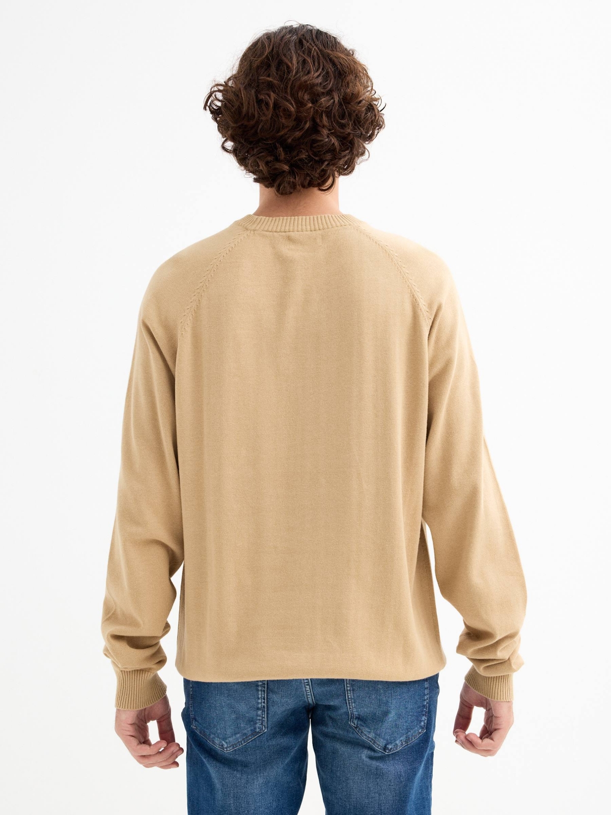 Plain sweater round neck sand middle back view