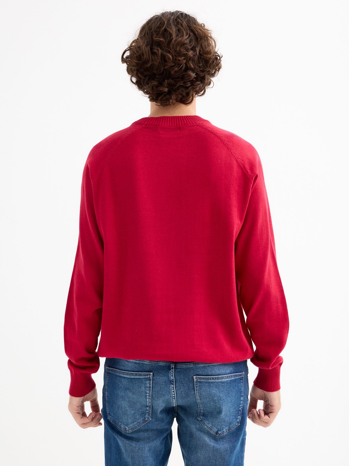 Plain sweater round neck red middle back view