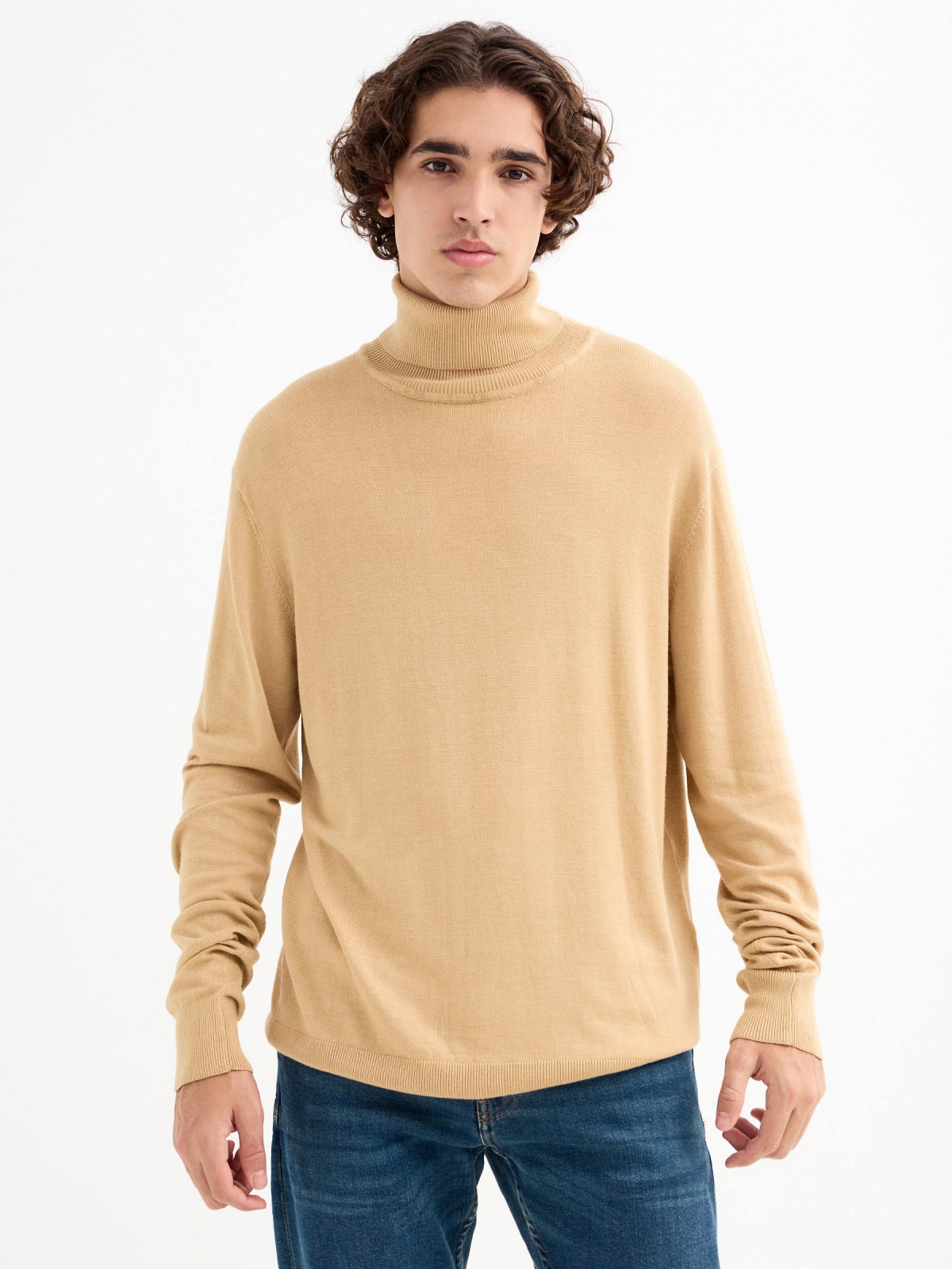 Basic swan sweater beige middle front view