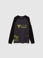 %Pto% Long sleeve raglan graphic grey T-shirt dark grey front view