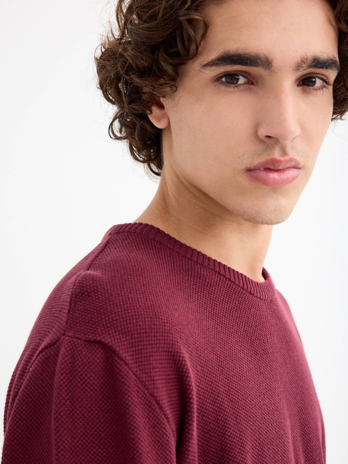 Regular plain jersey round neck burgundy detail view