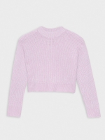 %Pto% Sweater round neck lilac front view