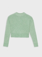 %Pto% Sweater round neck green front view