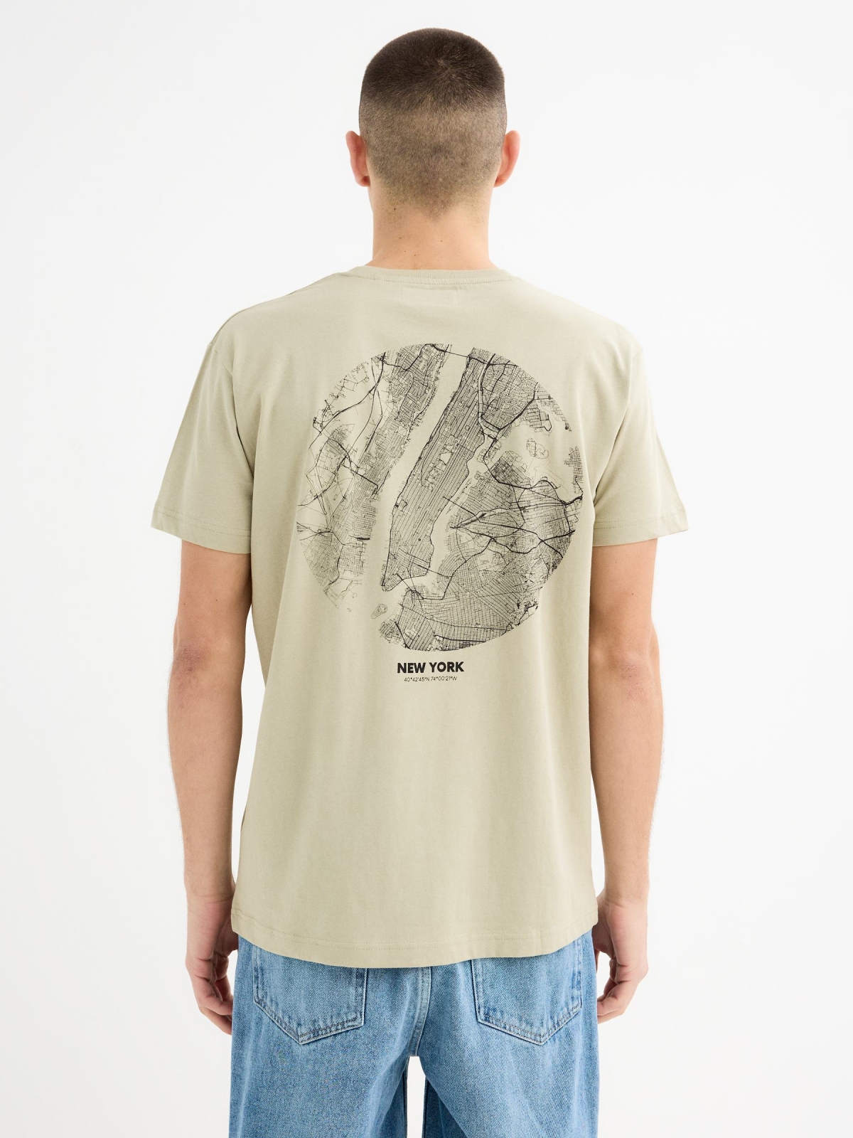 Short sleeve New York t-shirt greyish green middle back view